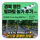 에스제이시스템 | [후기] 영천 스마트밸리 토마토 농가 - 에스제이 배지 도입 후 놀라운 변화 (2부)