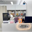 디어브로우 이미지