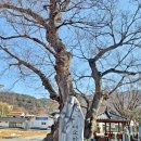 부남면 복지회관 이미지