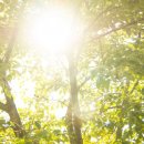 미라클비뇨기과의원 이미지