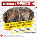 도성축산 이미지