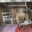 미소동물병원 이미지