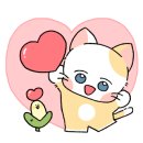 에이비플러스 이미지