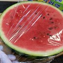 하나프로여행사주 이미지