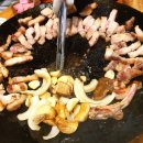 제주산방산흙돼지맛집