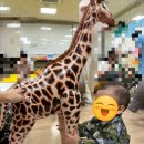 소풍 수지점 이미지