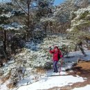 마당바위로 이미지