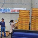 성산일출봉농업협동조합 농산물산지유통센터 이미지