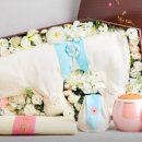 펫콤동물병원 | 안산 반려동물 장례식장 추천 (펫콤 이용후기)