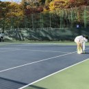 수지체육공원 테니스장 이미지