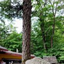 황보당 - 구미시 산호대로 191-4 | 황보당