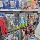 VVIP GYM | 2024 워터밤 서울 아니고 일산 vvip 금요일 후기 블챌