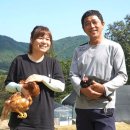 영남이네농장 이미지