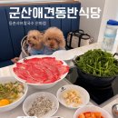 은파식당 - 부산진구 당감로16번길 24 | 군산 은파 애견동반 식당 등촌샤브 칼국수 방문 후기