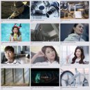 브랜드 디렉터스(BRAND DIRECTORS)