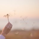 산들디자인 이미지