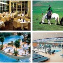 제주당구장 이미지