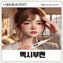 멕시부펜 알아보기: 브루펜 애드빌 이부펜 성분 효과 부작용