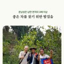 오운산 석가명차 이미지