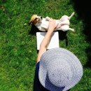 참동물의료센터 이미지