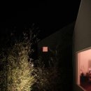 벵디1967 이미지