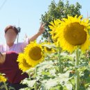 초대1리 이미지