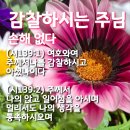 부산제일교회