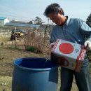 여리농장 이미지