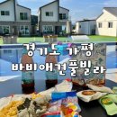 쌍둥이숯불두마리차킨 수영점 | 경기도 가평 신축/독채 펜션 [바비애견풀빌라] 여름휴가(ft.내돈내산/솔직후기)