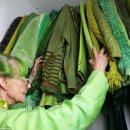 초록초록 이미지