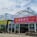 다육정원네덜란드 이미지
