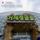 월남참전 유공비 명 | 겨울 거제도 실내 가볼만한곳 거제 식물원 정글돔 가격 할인