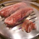 강호동백정 이미지