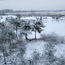 237 행정사 사무소 이미지