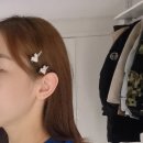 플래니코