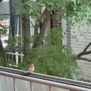 디저트 천국 강남역 신논현역카페 썸띵어바웃커피 메뉴 가격 꿀조합