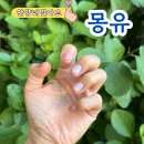 몽유 - 남구 | 안양 네일아트 몽유, 만족도 100% 후기