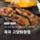 화정생고기 | 고양 화정역 맛집 육국 단체 회식 정육식당 고기집