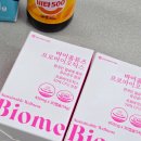 정화약국 | 약국 유산균 추천 제품 비교