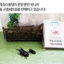 대지사슴농장 이미지