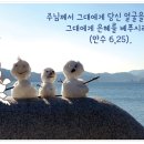 생명그리고빛 이미지
