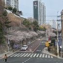 산돌밧데리
