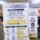 세성문어