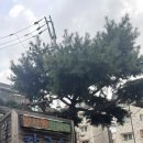 롯데리아장현점 이미지