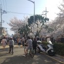 경화벚꽃한의원 이미지