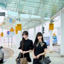 리즈 카카오 검색결과