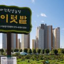 솔이농장 이미지