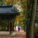 청천리 | 충북 괴산 가볼만한곳 베스트10 추천, 가족 여행지, 나들이, 여름휴양지 추천!