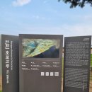 크로바조경 | 연천 호로고루 총정리 2026 — 사적 제467호 고구려 성곽과 통일바라기 해바라기, 주차·개화 시기까지