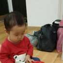 분당-357 이미지